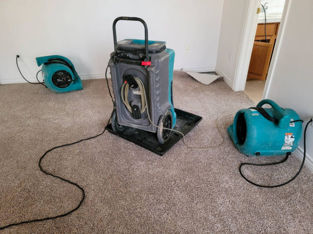 Local water damage restoration in VA
