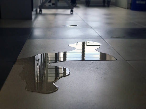 Best Professional water damage repair  in Front Royal, VA