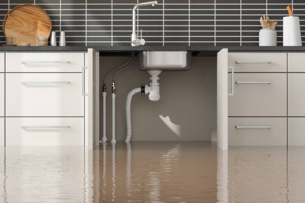 Best Water damage contractors near me  in Front Royal, VA