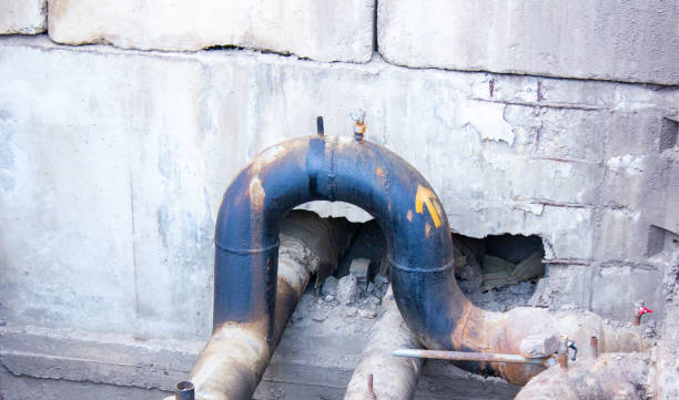 Best Water damage restoration near me  in Front Royal, VA